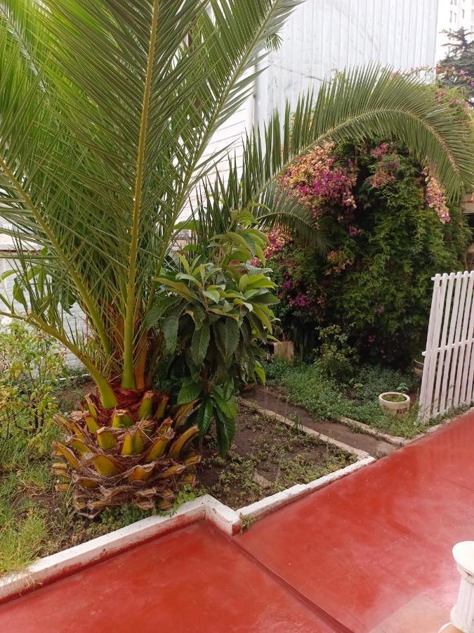 Hotel Paseo Valle Vina del Mar Ngoại thất bức ảnh